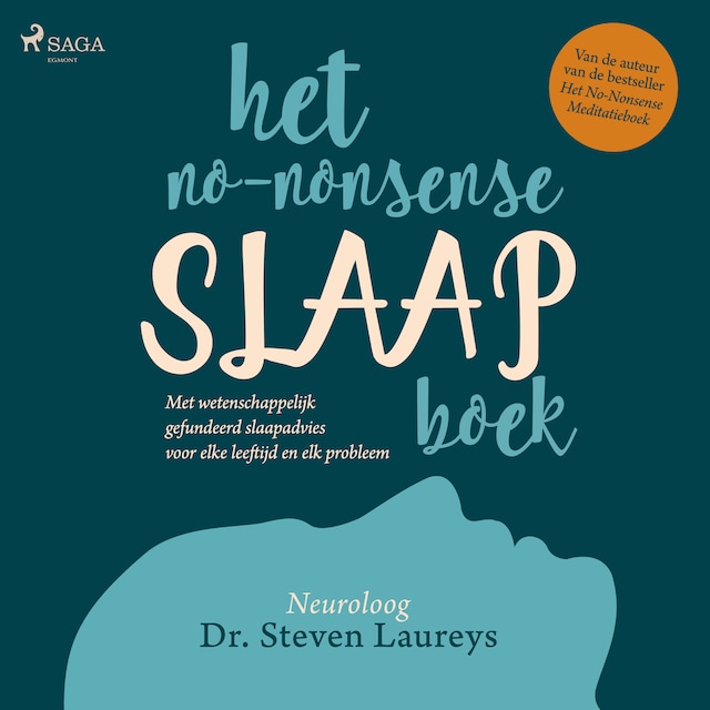 Book cover for Het no-nonsense slaapboek