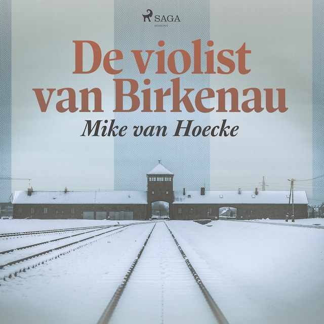 Buchcover für De violist van Birkenau