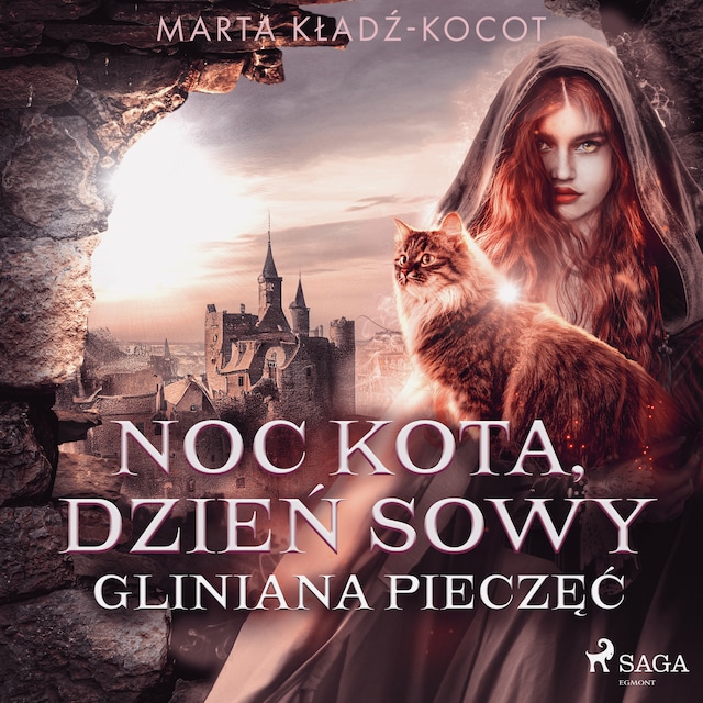 Book cover for Noc kota, dzień sowy: Gliniana Pieczęć