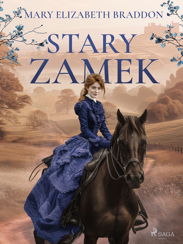 Book cover for Stary zamek
