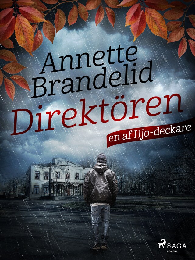 Couverture de livre pour Direktören