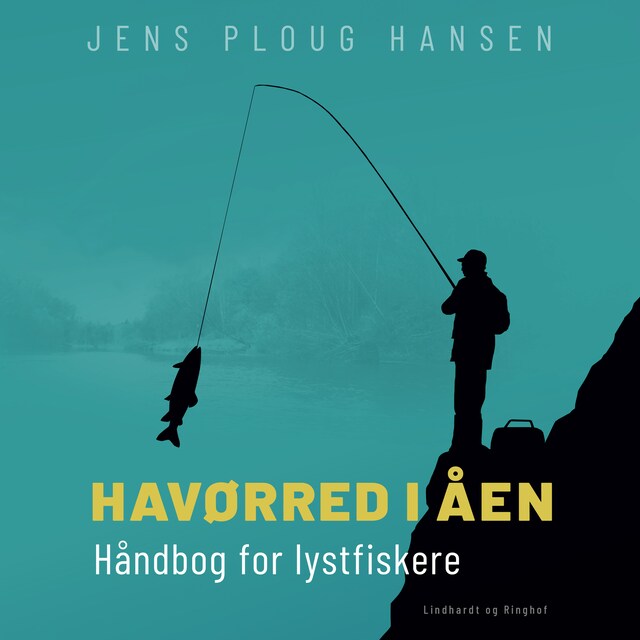 Buchcover für Havørred i åen. Håndbog for lystfiskere