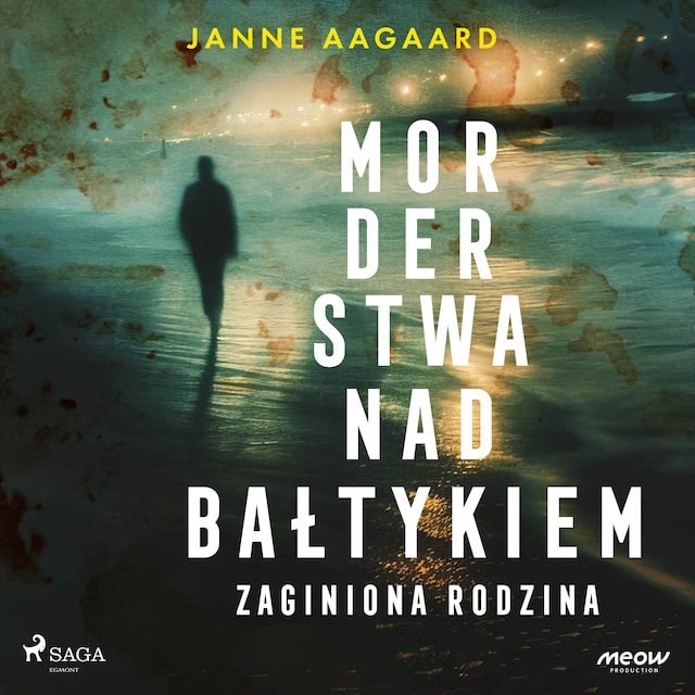 Book cover for Morderstwa nad Bałtykiem 3: Zaginiona rodzina