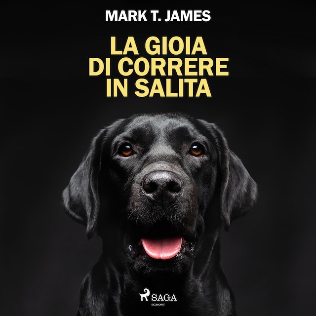 Book cover for La gioia di correre in salita. Come un cane nero ha illuminato ogni cosa