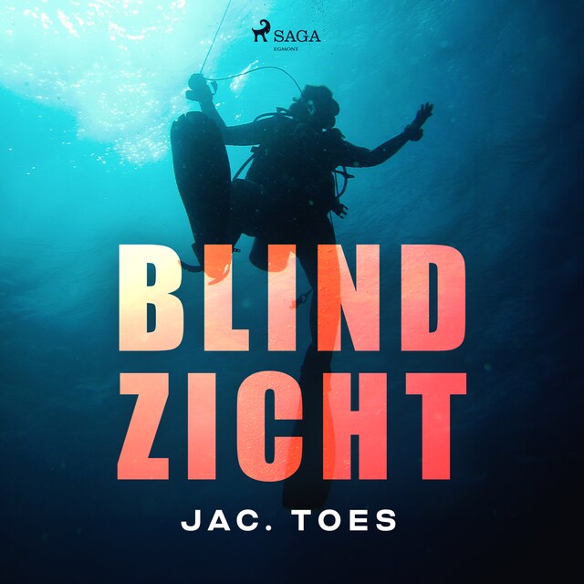 Book cover for Blind zicht