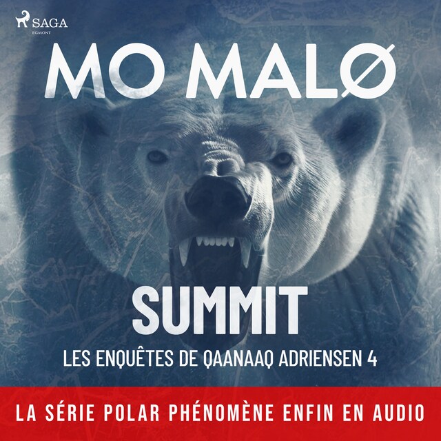 Book cover for Summit