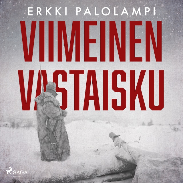 Buchcover für Viimeinen vastaisku