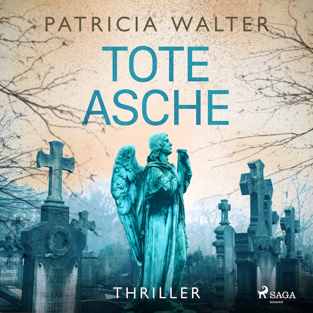 Book cover for Tote Asche