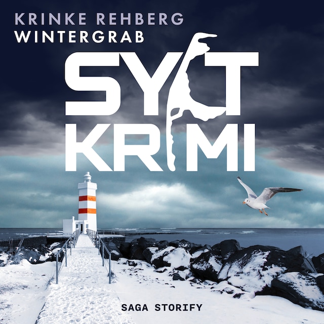 Book cover for SYLTKRIMI Wintergrab: Nordseekrimi (KÜSTENKRIMI)