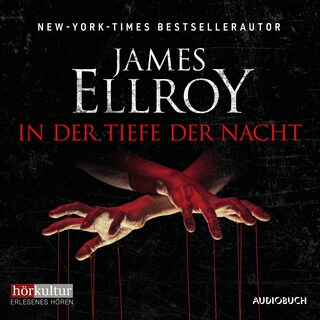 In der Tiefe der Nacht als Hörbuch