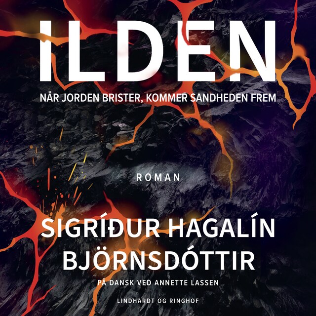 Bogomslag for Ilden