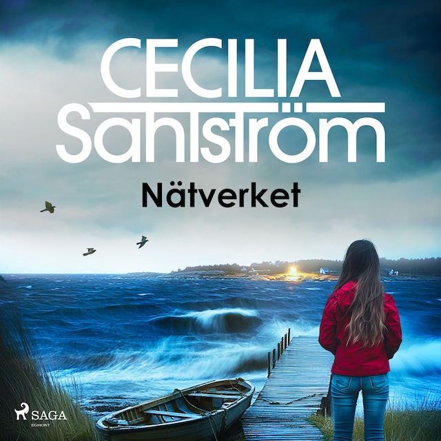 Book cover for Nätverket