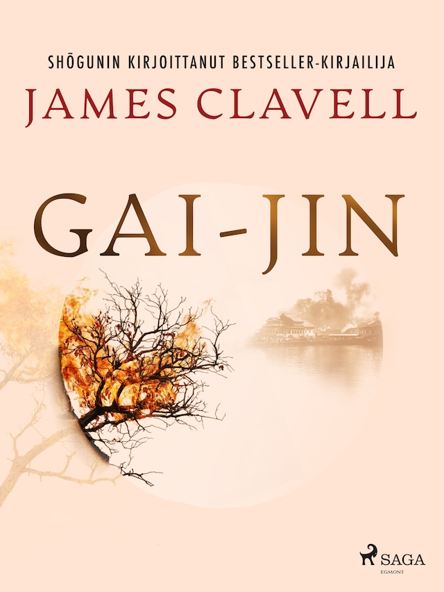 Book cover for Gai-jin