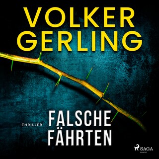 Falsche Fährten als Hörbuch