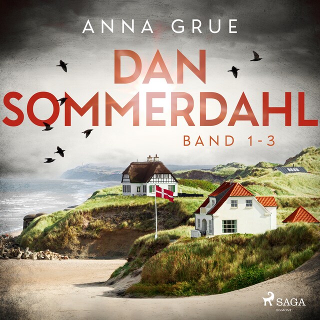 Buchcover für Dan Sommerdahl (Band 1-3)