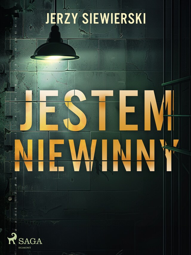 Book cover for Jestem niewinny