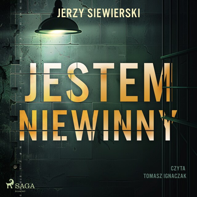 Book cover for Jestem niewinny