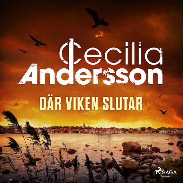 Copertina del libro per Där viken slutar