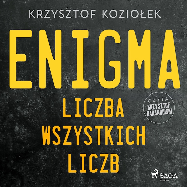 Bokomslag for Enigma: liczba wszystkich liczb