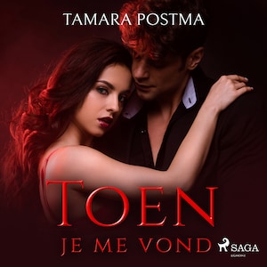 Toen je me vond - luisterboek