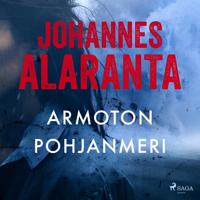 Book cover for Armoton pohjanmeri