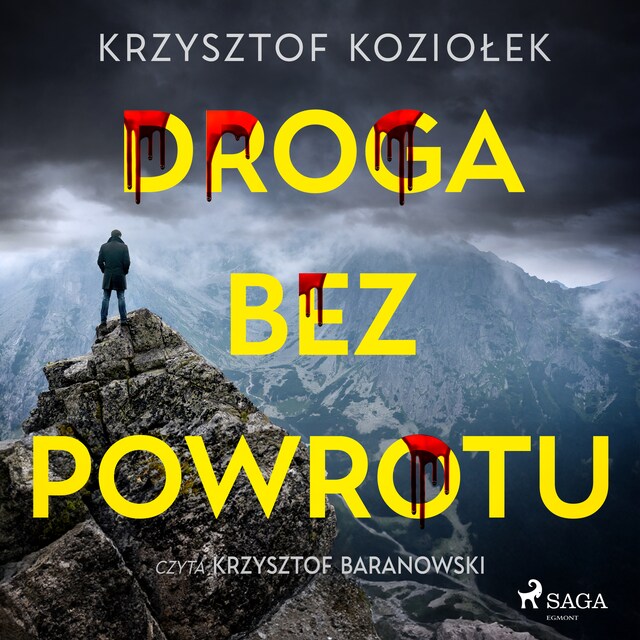 Book cover for Droga bez powrotu