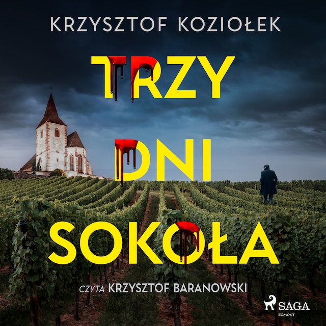 Portada de libro para Trzy dni Sokoła