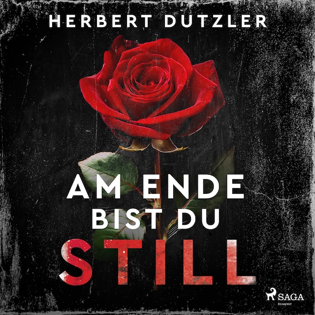 Book cover for Am Ende bist du still