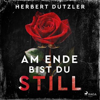 Am Ende bist du still als Hörbuch