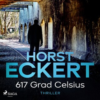 617 Grad Celsius als Hörbuch