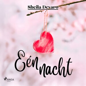 Eén nacht - luisterboek