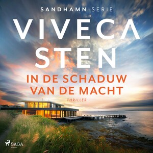 In de schaduw van de macht - luisterboek