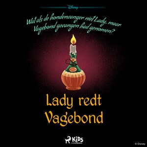 Een verdraaid verhaal - Lady redt Vagebond - luisterboek