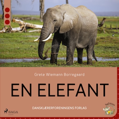 En elefant