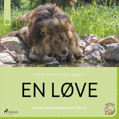 En løve