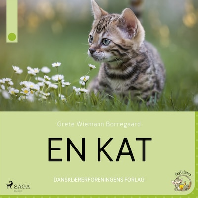 En kat