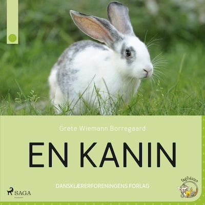 En kanin