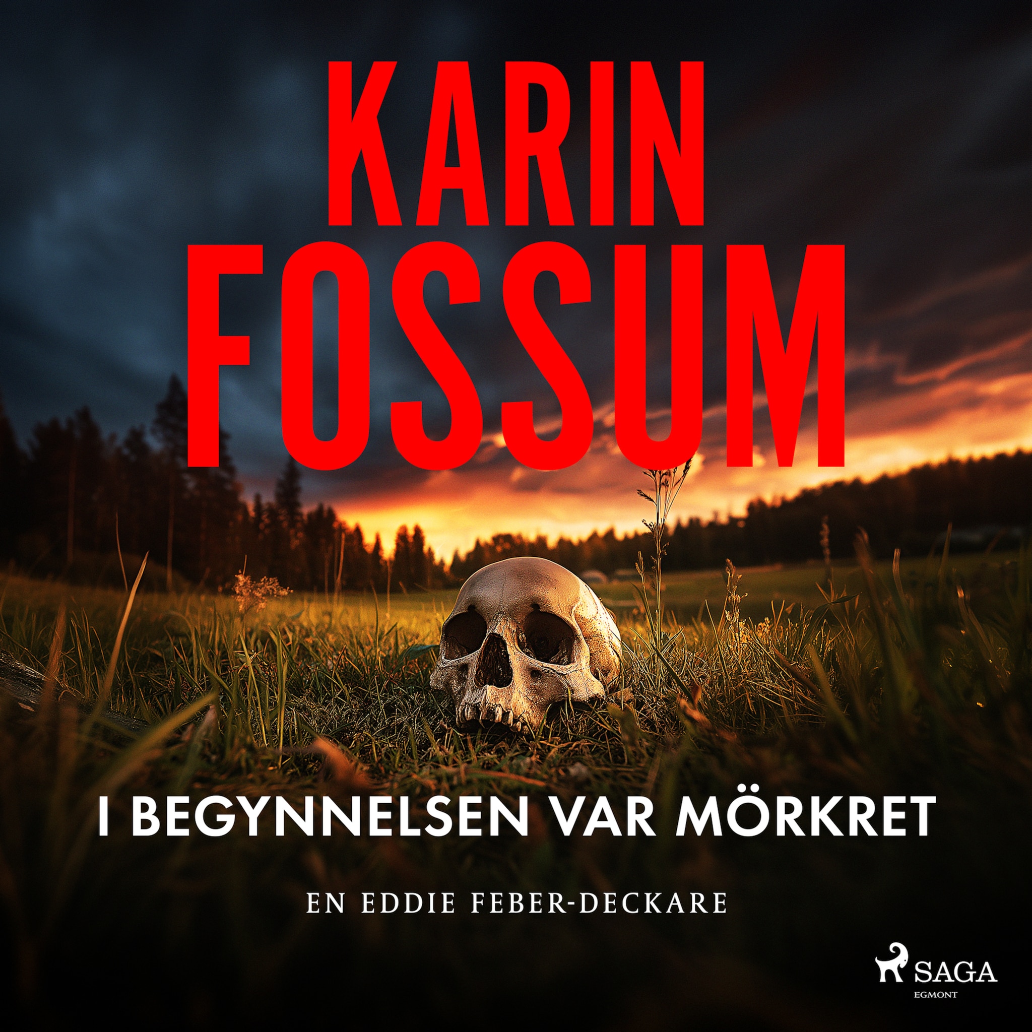 I begynnelsen var mörkret