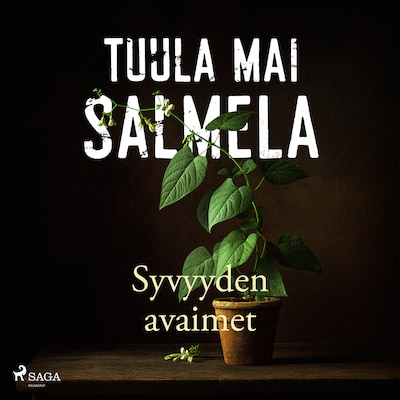 Syvyyden avaimet - Äänikirja - Tuula Mai Salmela