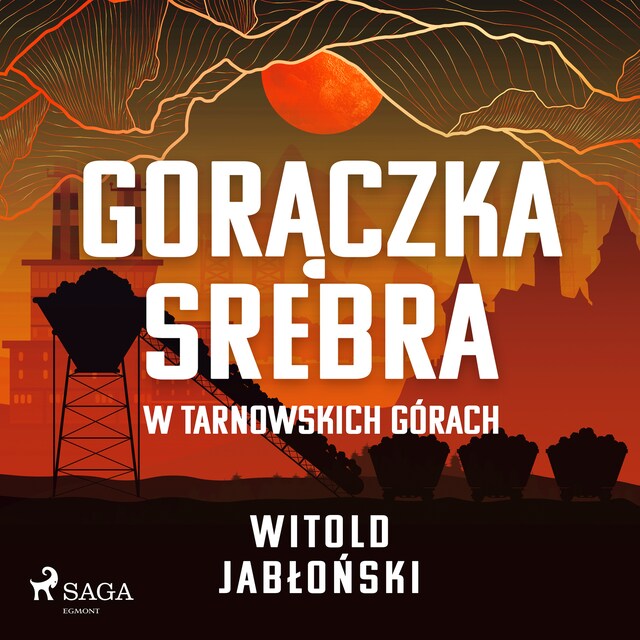 Boekomslag van Gorączka srebra w Tarnowskich Górach