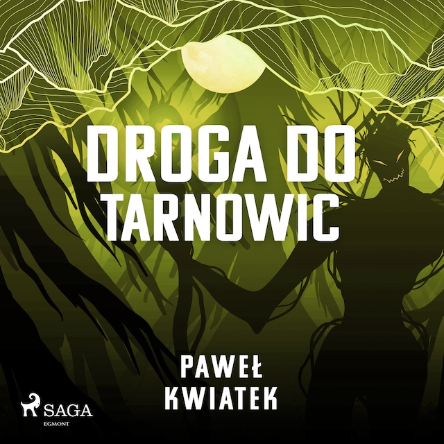 Book cover for Droga do Tarnowic