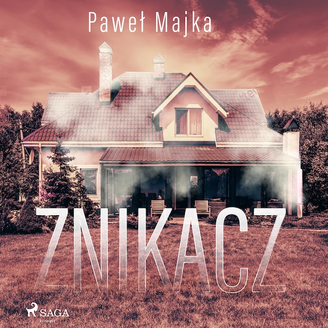 Book cover for Znikacz