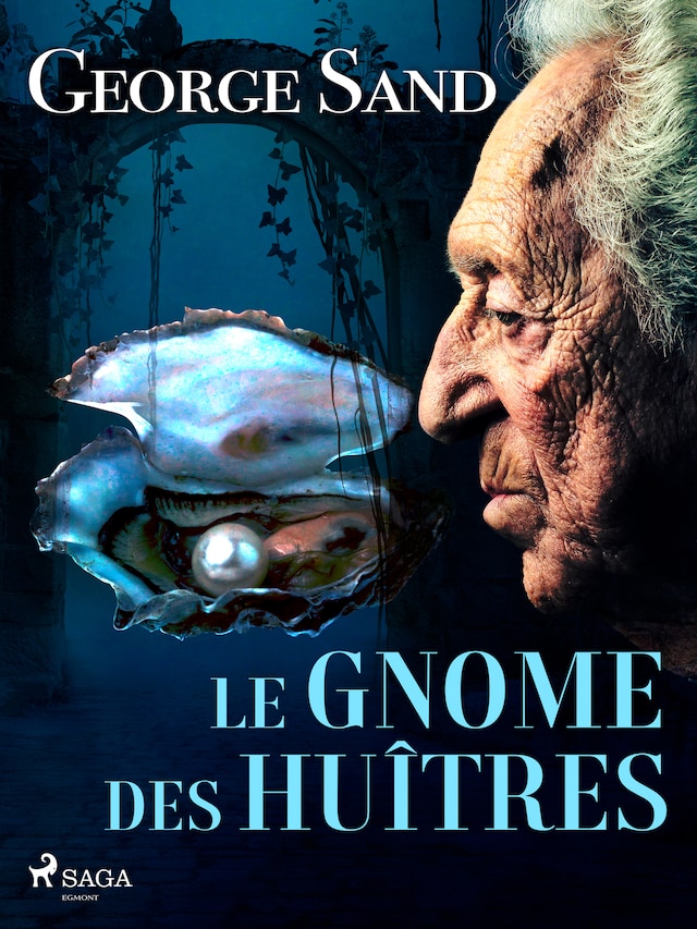 Book cover for Le Gnome des huîtres