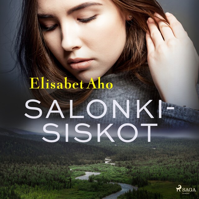 Book cover for Salonkisiskot