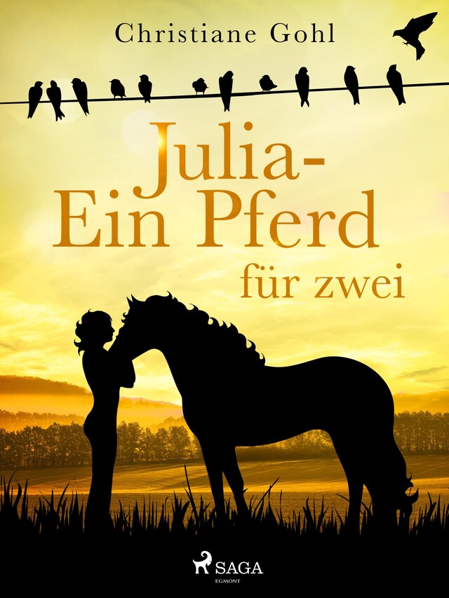 Copertina del libro per Julia – Ein Pferd für zwei