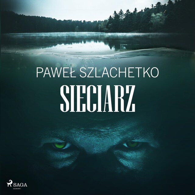 Book cover for Sieciarz