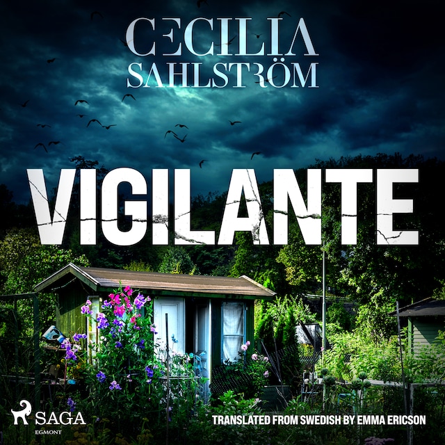 Book cover for Vigilante: A Sara Vallén Thriller