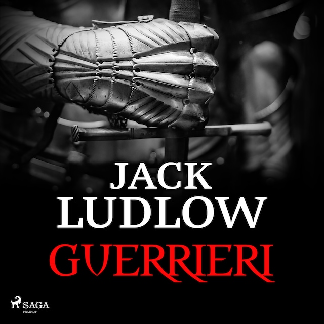 Book cover for Guerrieri