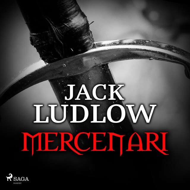 Book cover for Mercenari