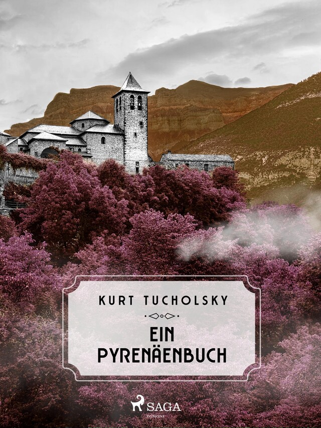 Book cover for Ein Pyrenäenbuch